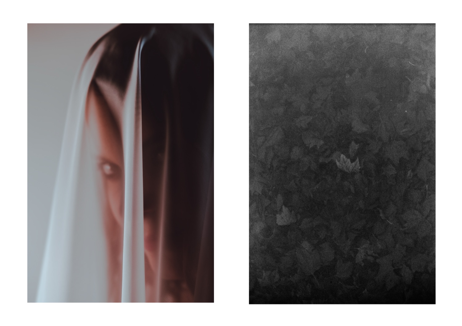 Fine-art diptych — veiled portrait beside a dark leaf texture