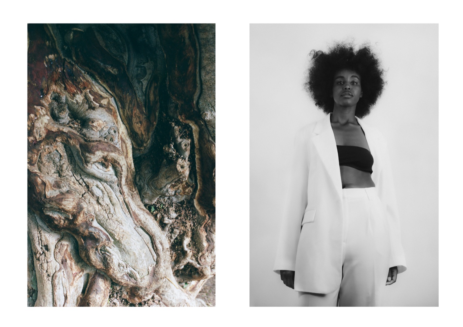 Fine-art diptych — weathered bark beside a model in a white suit
